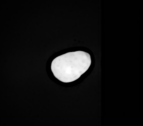 Overexposed image of 15 Eunomia asteroid.