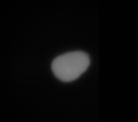 Image of 15 Eunomia asteroid.