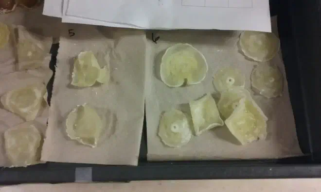 Plastics batches