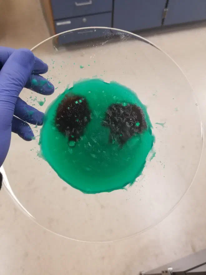 Alien face